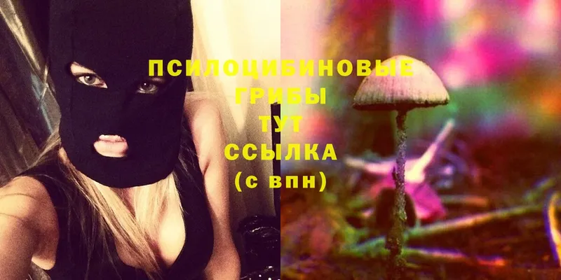 Галлюциногенные грибы Magic Shrooms  omg зеркало  Кореновск 